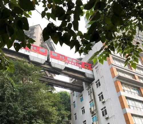 李子坝穿楼照片在哪拍