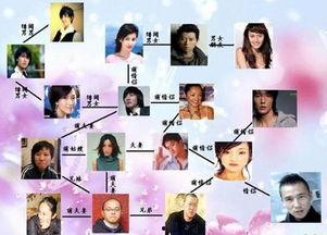 娱乐圈混乱的关系