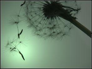 难舍难分的图片,深情凝望的永恒瞬间